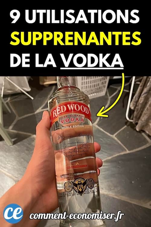 Une main tient une bouteille de vodka transparente dans une pièce avec un sol en ardoise.