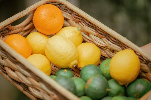 Un panier rempli de citrons, oranges et petits agrumes verts.