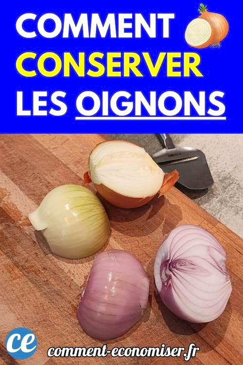 Oignons coupés en deux de différentes variétés posés sur une planche à découper en bois.