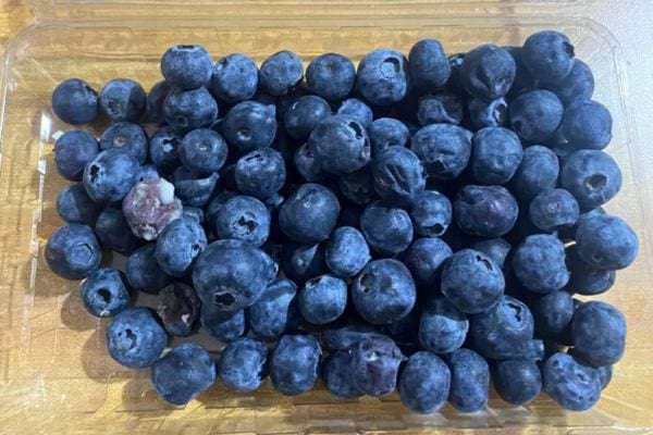 Barquette remplie de myrtilles fraîches avec quelques fruits abîmés.