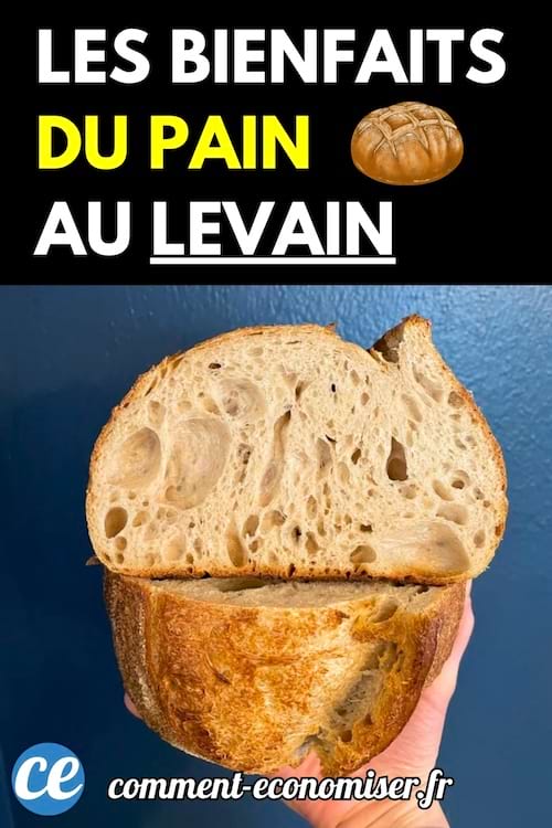 Une main tenant une miche de pain au levain artisanale coupée en deux.