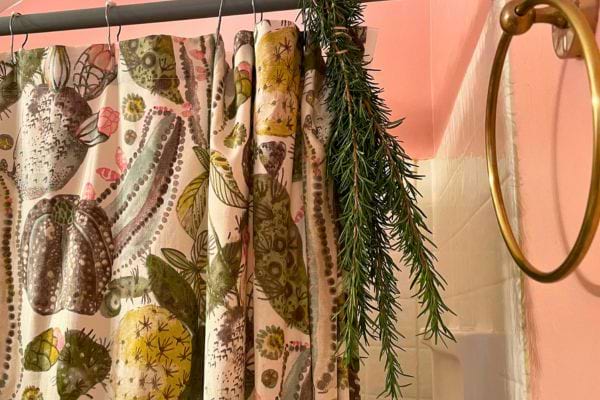 Branche de romarin suspendue à une tringle de rideau de douche.