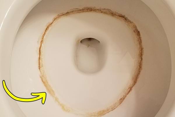 Toilettes entartrées, trace de calcaire visible en cercle sous la cuvette.