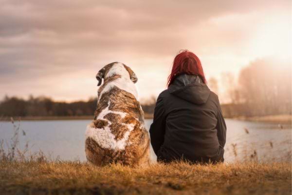 Een hond zit met een vrouw aan een meer.