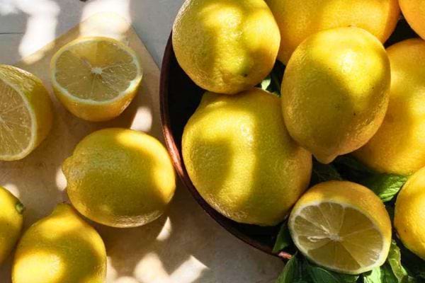 Bol de citrons jaunes frais et lumineux.