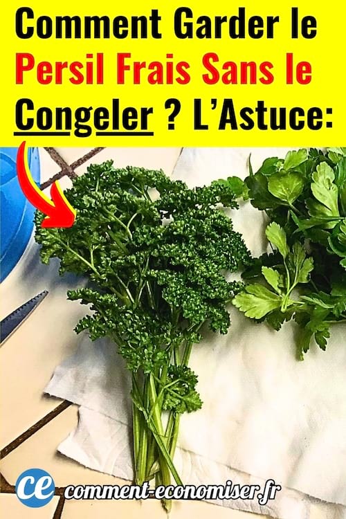 Du persil frais qui va être conservé sans être congelé