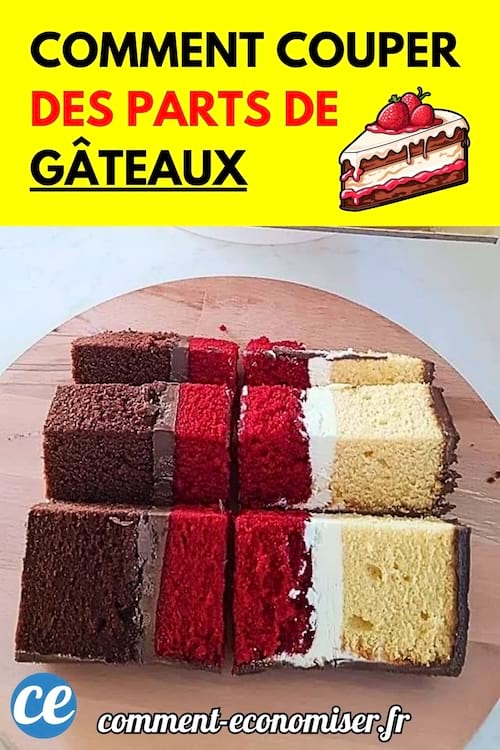 Des parts de gâteaux parfaitement alignées et colorées, coupées de manière nette sur une planche en bois.