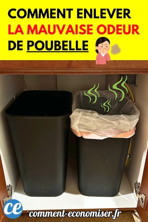 Deux poubelles noires sous un évier, dont une dégage des mauvaises odeurs visibles en dessin.