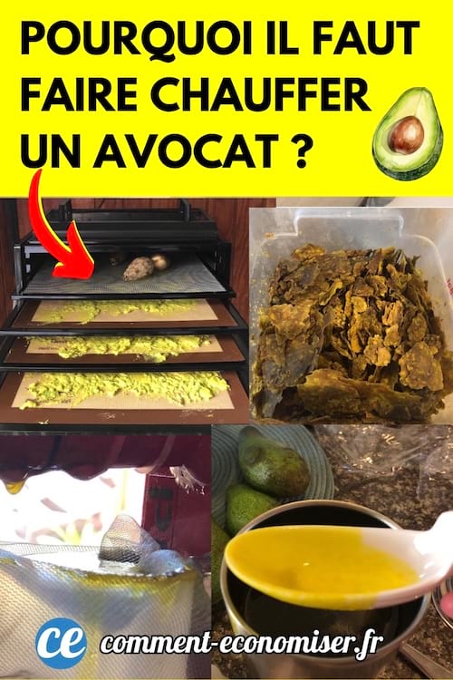 de la chair d'avocat déshydratée au four et transformée en huile d'avocat