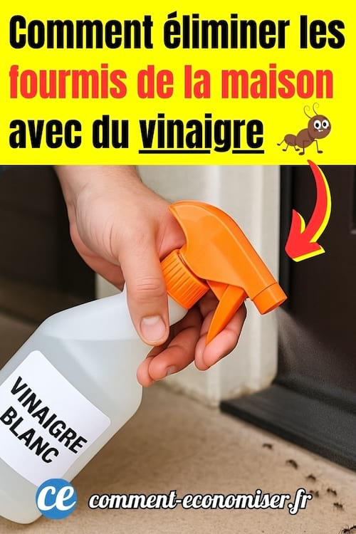 pulvériser le vinaigre blanc devant les portes pour chasser les fourmis
