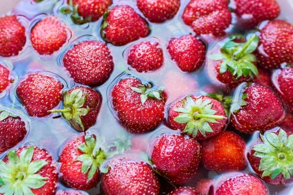 Fraises bien rouges trempées dans une bassine d’eau pour les nettoyer.