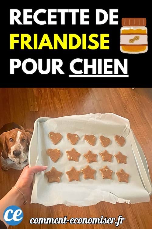 Plaque de cuisson recouverte de papier sulfurisé avec des friandises en forme d’étoiles et de cœurs, un chien regarde.