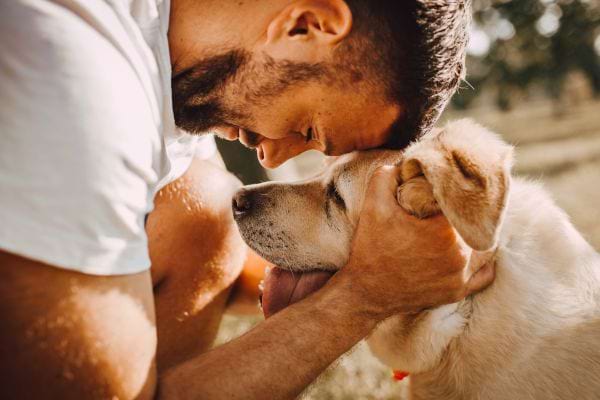 Homme collé au front de son chien, moment très émouvant.