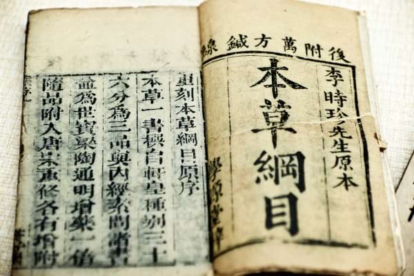 Ancien manuscrit asiatique, probablement un traité de médecine traditionnelle.