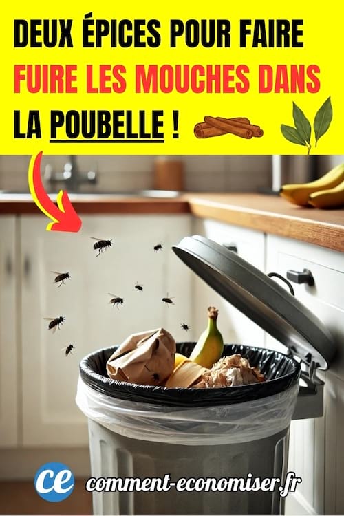 une poubelle ouverte pleine de déchets avec des mouches qui volent autour dans une cuisine