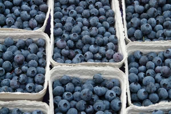 Des barquettes remplies de myrtilles fraîches et juteuses.