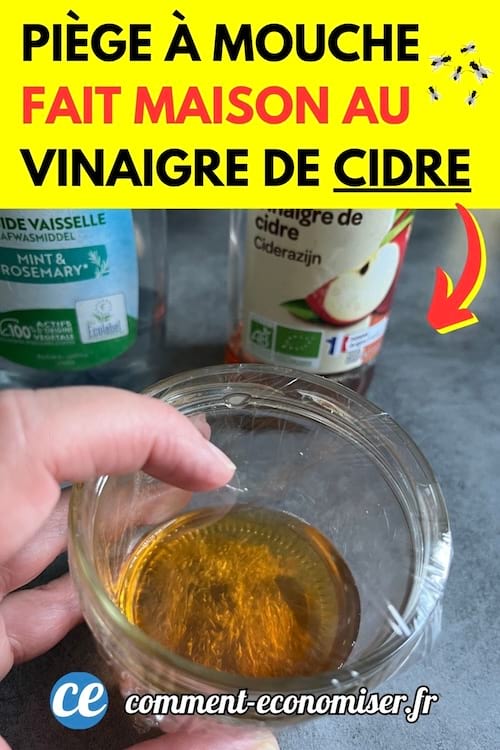 Un piège à mouche fait maison avec du vinaigre cidre et du produit vaisselle