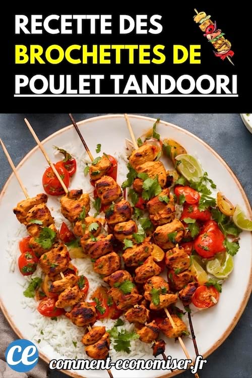 Assiette de riz blanc garnie de brochettes de poulet tandoori grillé avec tomates cerises et quartiers de citron vert.