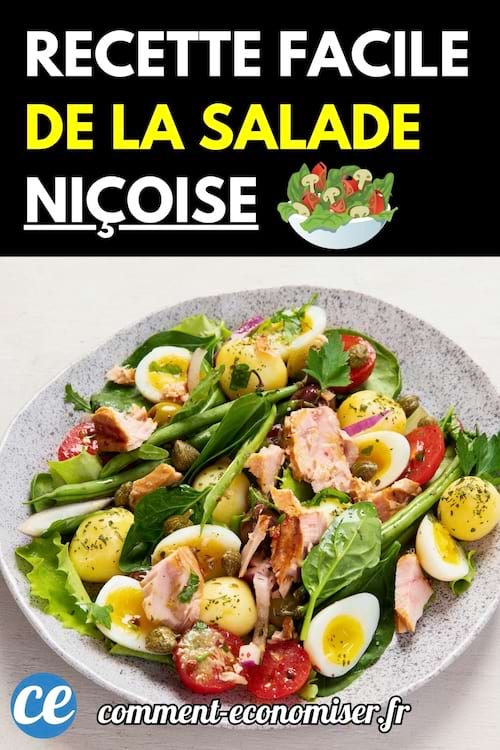 Une assiette de salade niçoise avec œufs, tomates, haricots verts, pommes de terre, thon et feuilles de salade.