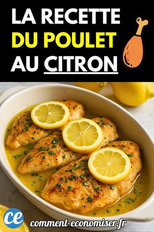Filets de poulet cuits dans une sauce citronnée avec des rondelles de citron dessus.