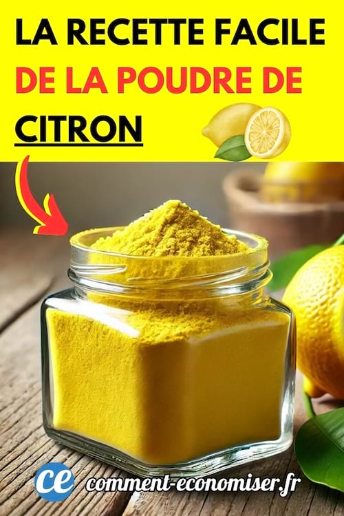 De la poudre de citron dans un bocal fait maison