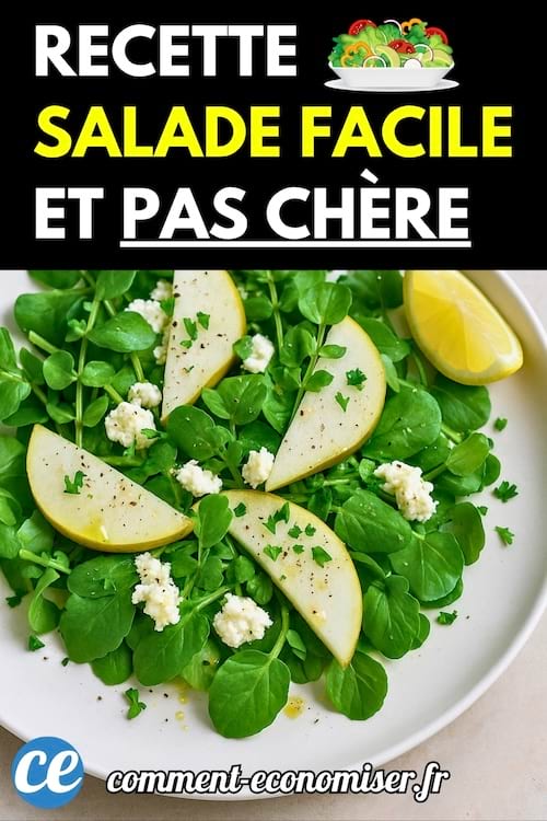 Une assiette de salade verte garnie de quartiers de pomme, de fromage frais et de persil.