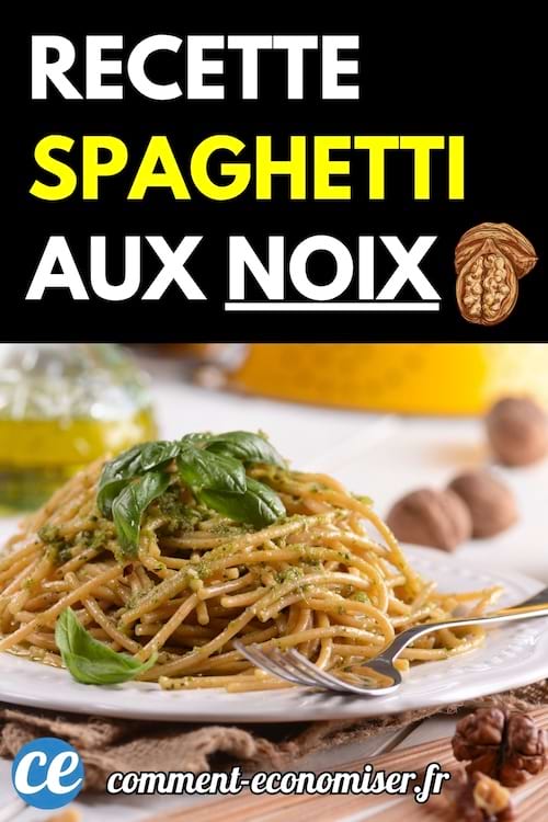 Une assiette de spaghetti aux noix avec du pesto, surmontée de feuilles de basilic frais et accompagnée de noix entières.