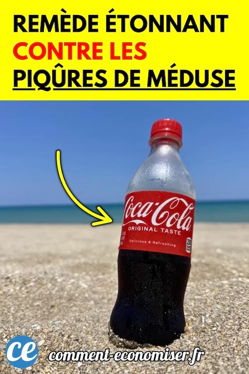 Une bouteille de Coca-Cola posée sur le sable en bord de mer.