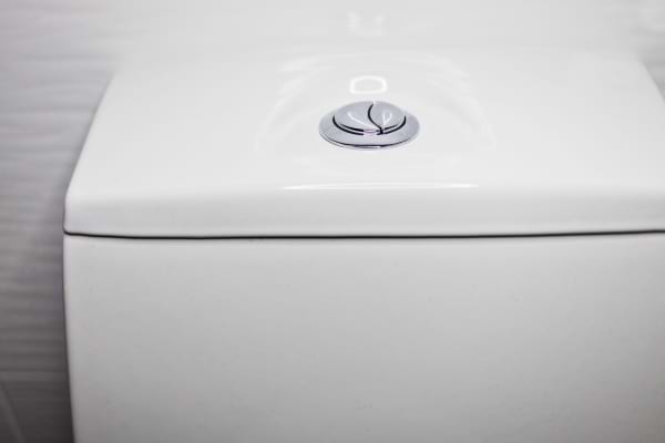 Réservoir de toilettes avec un bouton double argenté au centre.