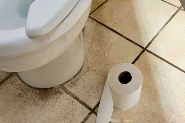 Rouleau au sol à côté de toilettes sales.