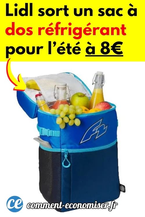 un sac à dos réfrigérant lidl qui coûte seulement 8€