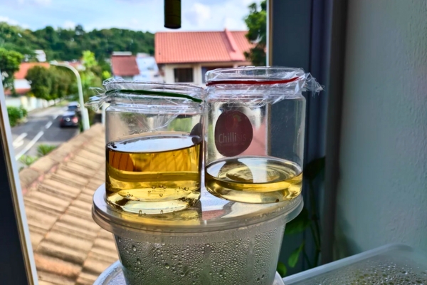 Piège à mouche au vinaigre de cidre : la méthode efficace pour les éliminer