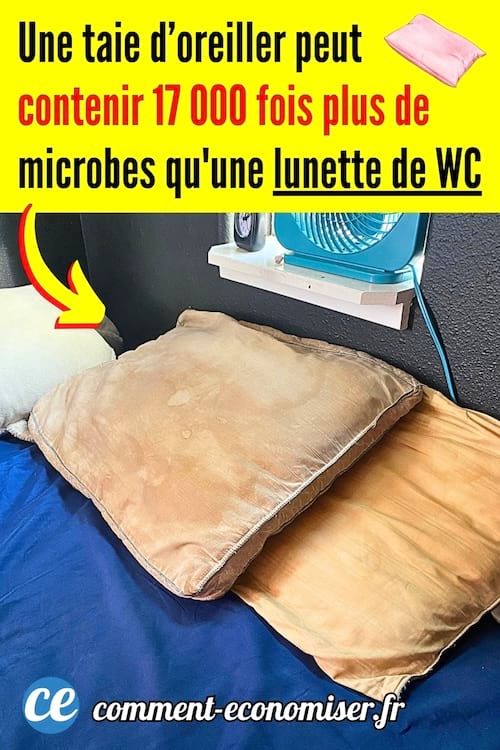 une taie d'oreiller sale avec plein de microbes dessus