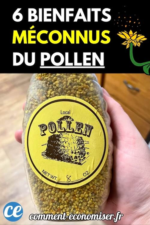 Un pot transparent de pollen local tenu dans une main.