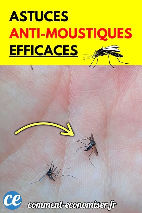 Deux moustiques posés sur la paume d’une main, avec une flèche jaune indiquant l’un d’eux.