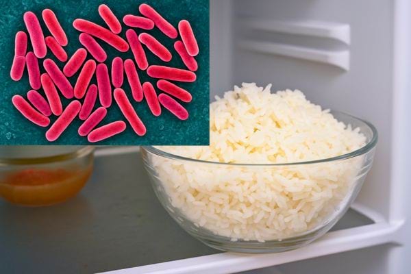 Un bol de riz blanc dans un réfrigérateur avec une illustration de bactéries roses superposée en haut à gauche.
