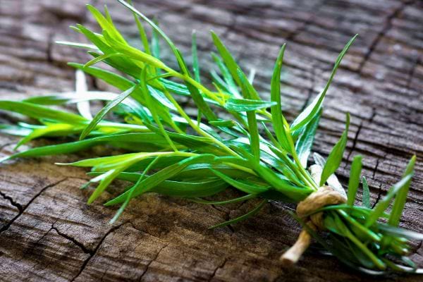 Bouquet d’estragon frais attaché avec une ficelle sur une planche en bois.