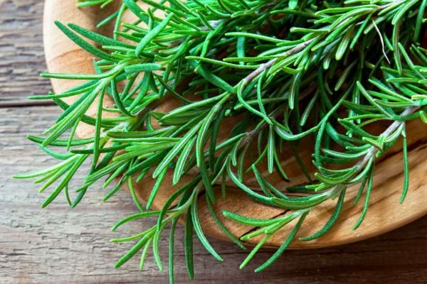 Bouquet de romarin frais présenté dans un saladier en bois rustique.