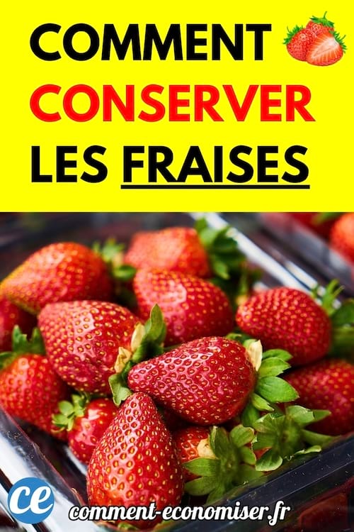 Un panier rempli de fraises rouges fraîches avec leurs feuilles vertes.
