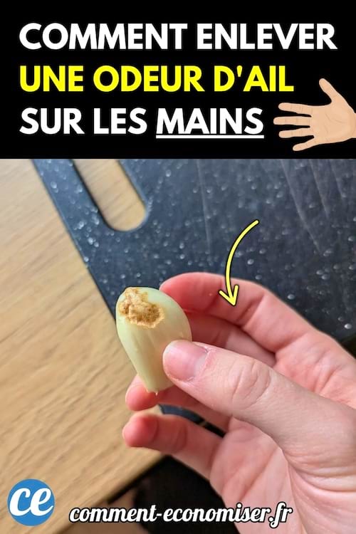 Une main tenant une gousse d’ail épluchée au-dessus d’un plan de travail.