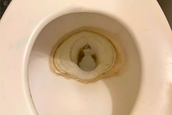 Cuvette de toilettes tachée par le calcaire.