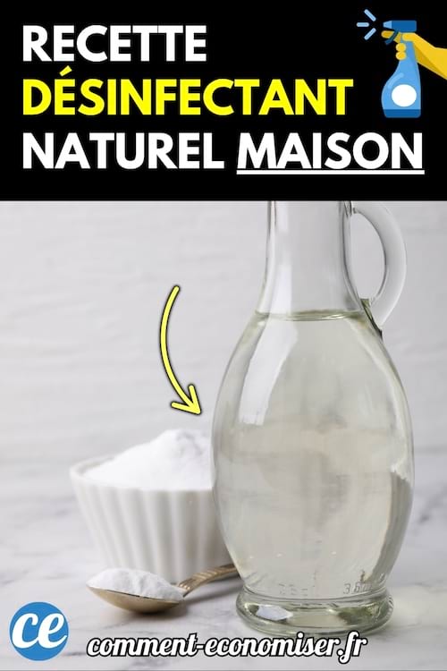 Désinfectant naturel fait maison
