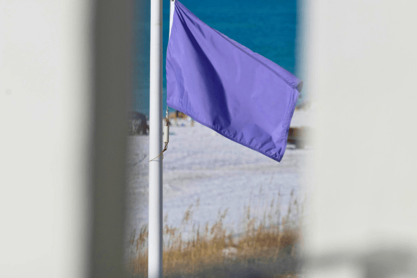 Un drapeau violet est visible entre deux structures en bord de plage.