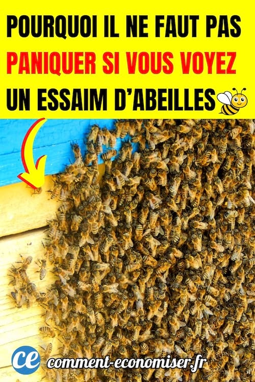un essaim d'abeilles sur un mur en planches