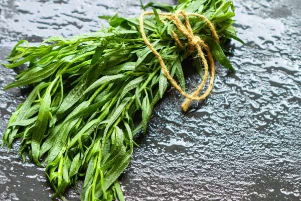 Bouquet d’estragon frais attaché avec une corde sur une surface humide.