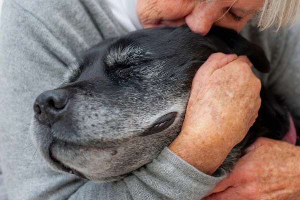 Une femme âgée serre son vieux chien dans ses bras.