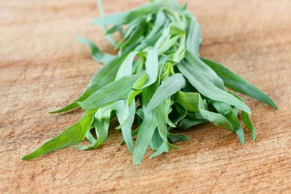 Feuilles d’estragon fraîches posées sur une planche de bois clair.