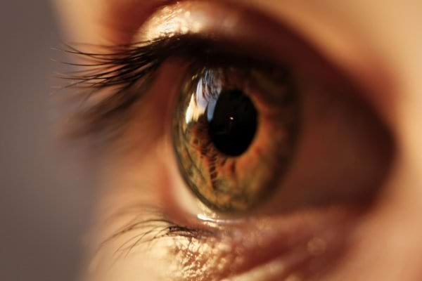 Un gros plan détaillé sur un œil marron.