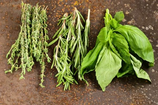 Trois variétés d’herbes aromatiques fraîches sont disposées côte à côte sur un fond rouillé.