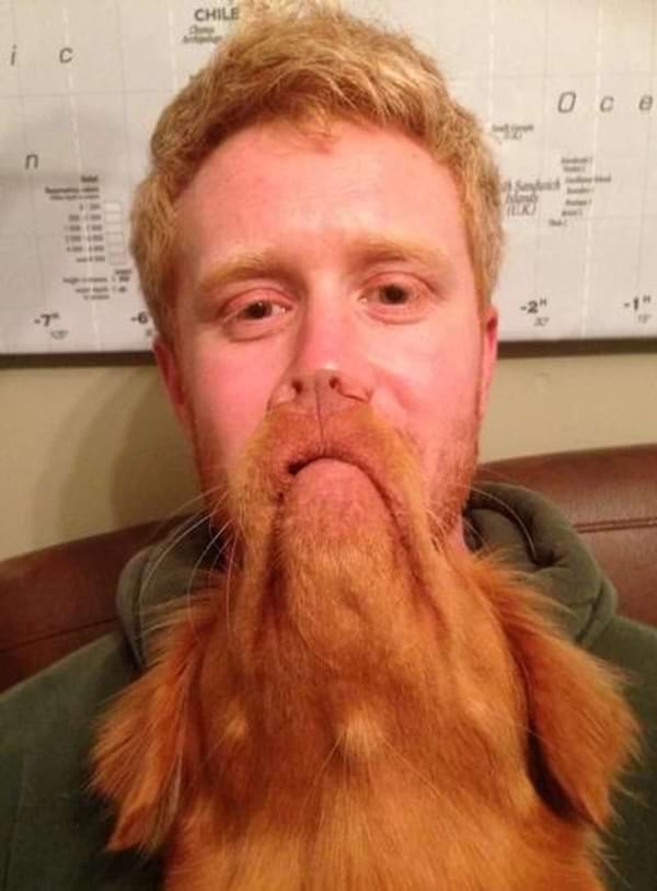 Chien formant une fausse barbe sur un homme.
